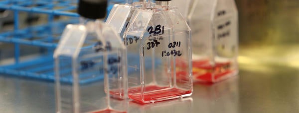 Genomics Image 1